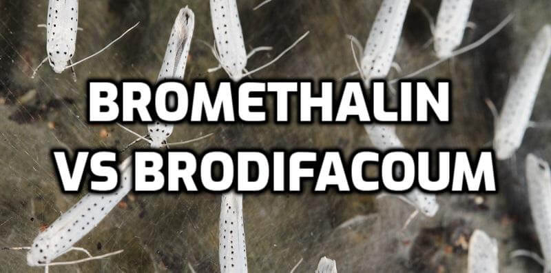 bromethalin vs brodifacoum