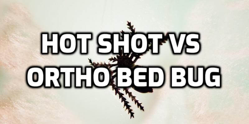 hot shot vs ortho bed bug