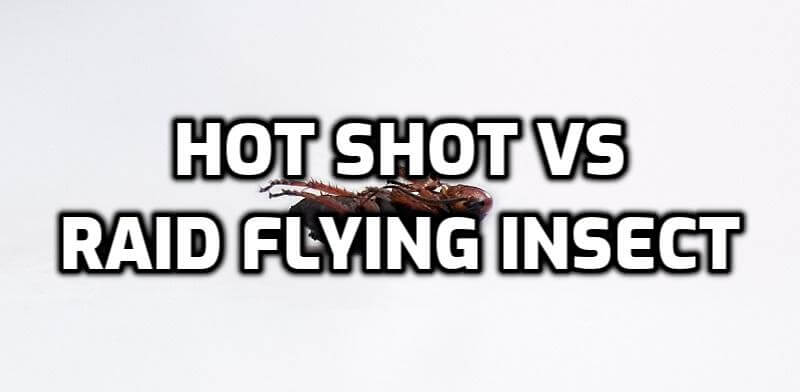 hot shot vs raid flying insect