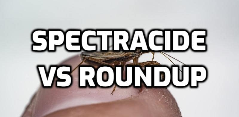 spectracide extended control vs roundup