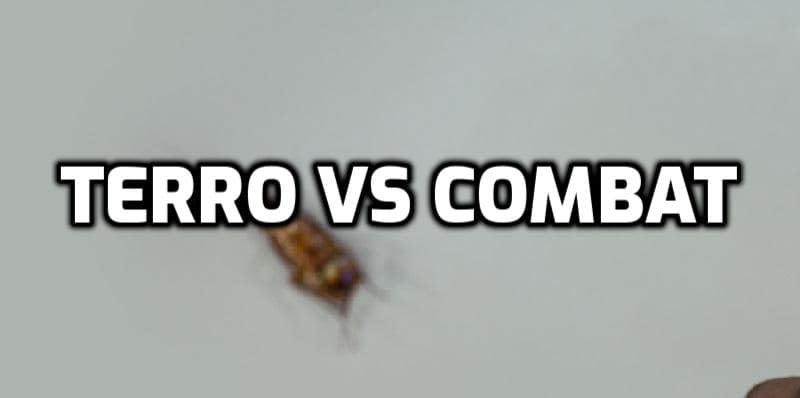 terro vs combat