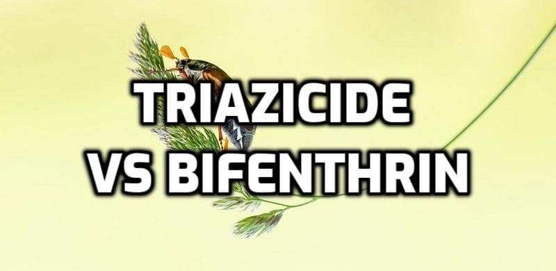 triazicide vs bifenthrin-min