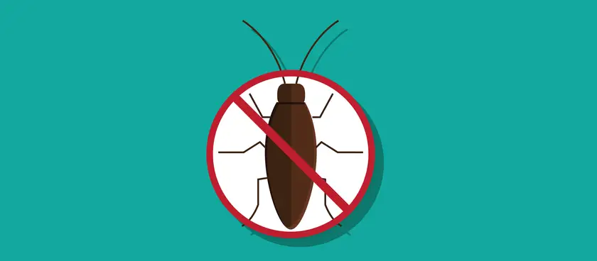 Best Roach Killer For Apartments Top 13 Traps Pesticide Bomb 2020