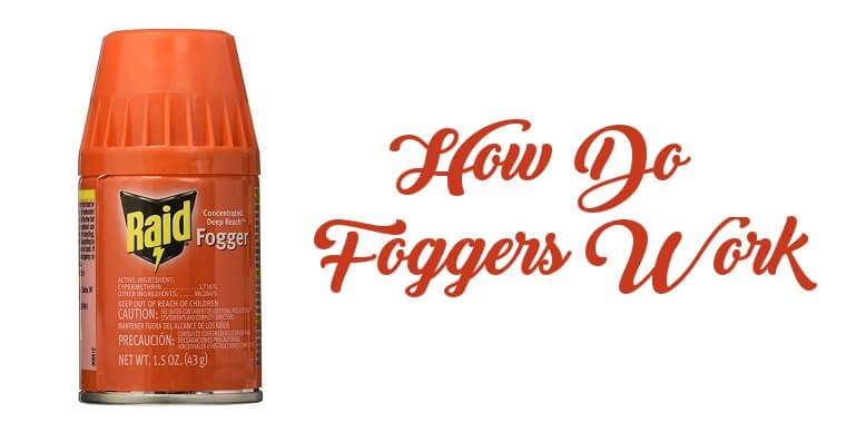 How Do Roach Foggers Work - Best Roach Killer