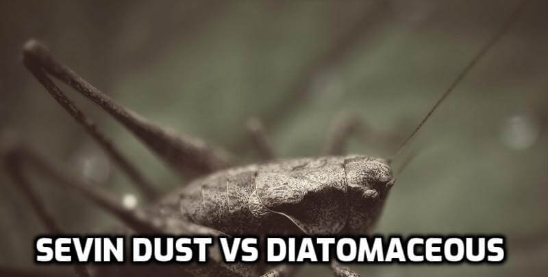 sevin dust vs diatomaceous earth