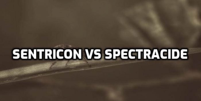 Spectracide Terminate Vs Sentricon - Which is Better for Termites?