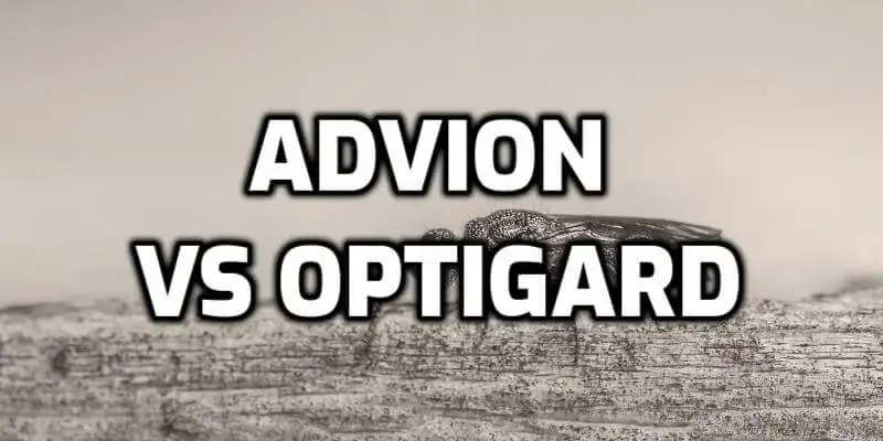 Advion vs Optigard Ant Gel: an in-depth comparison