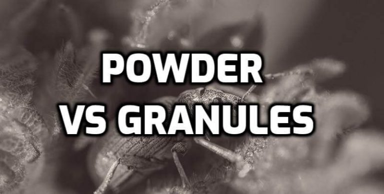 milky spore granules for voles milky spore granules for voles