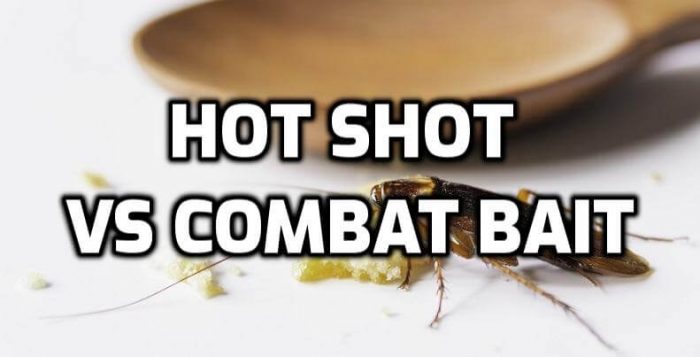 hot shot vs combat roach bait