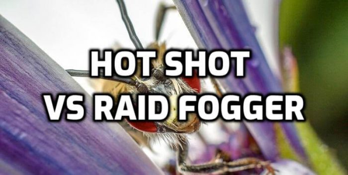 hot shot vs raid flea fogger