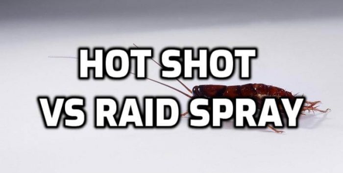 hot shot vs raid roach spray