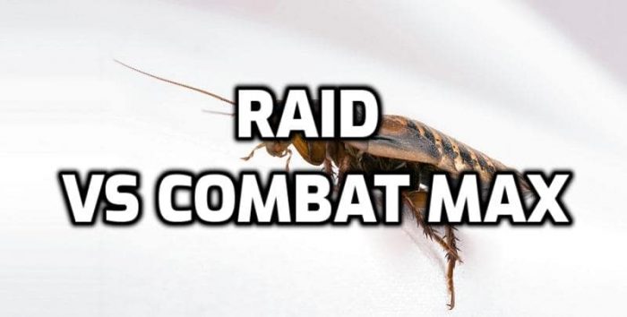 raid roach gel vs combat max