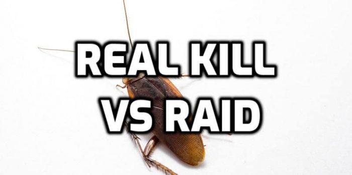 real kill vs raid